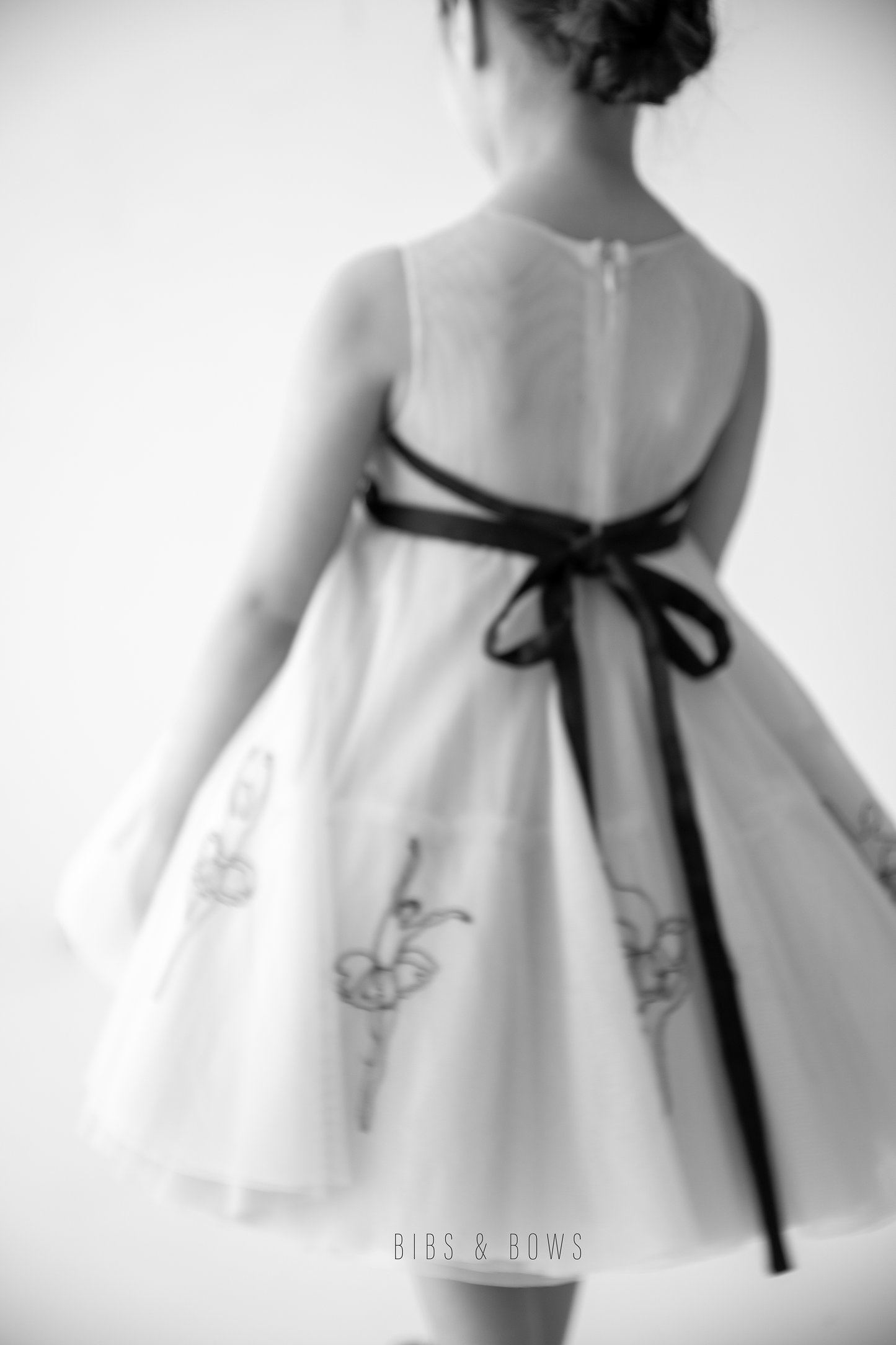 The Ballet dress